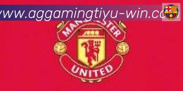 AG娱乐登录合作伙伴